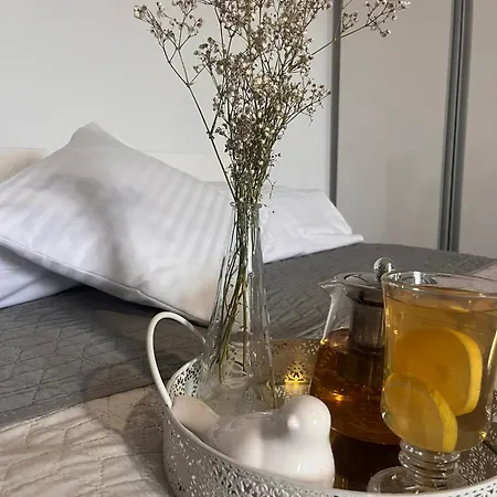 Apartament Na Starówce Pszczyna Zewnętrze zdjęcie