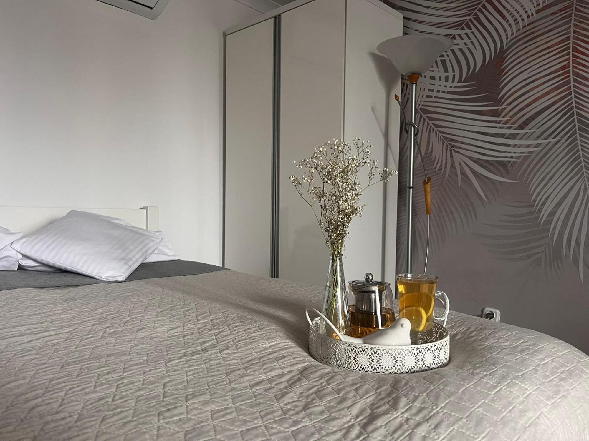 Apartment Na Starówce Pless